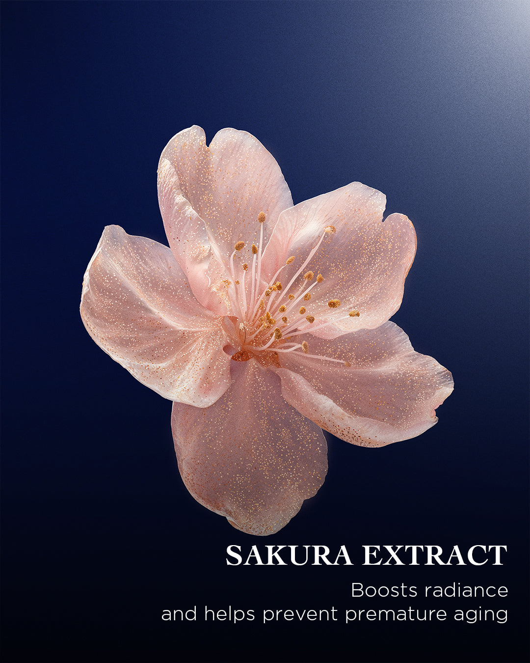 The Sakura Cleansing Foam | EviDenS de Beauté