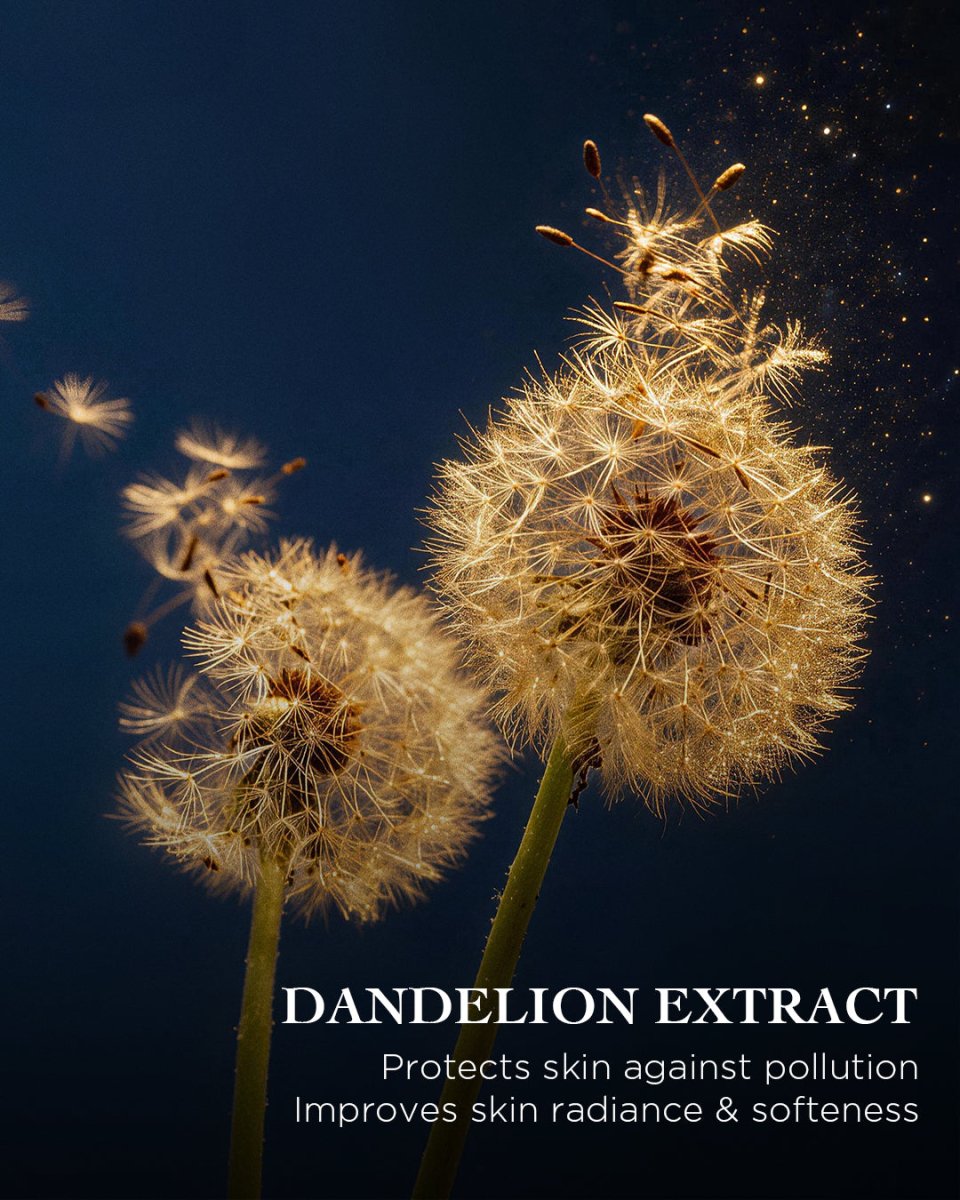 La Foux Essence-in-Mist | EviDenS de Beauté