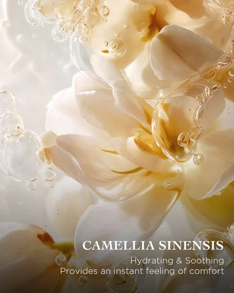 The Cleansing Foaming Gel | EviDenS de Beauté