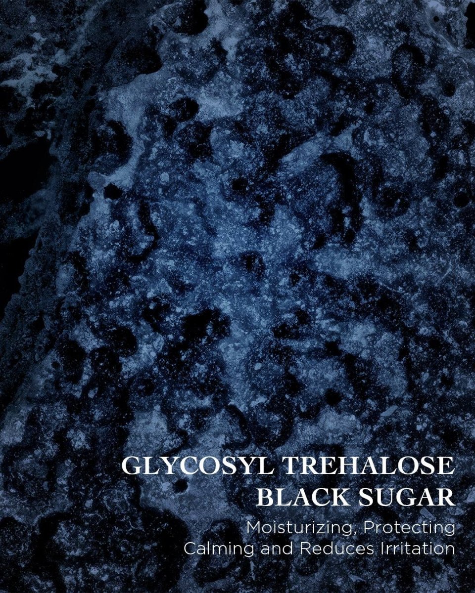 The New Rich Cream | EviDenS de Beauté