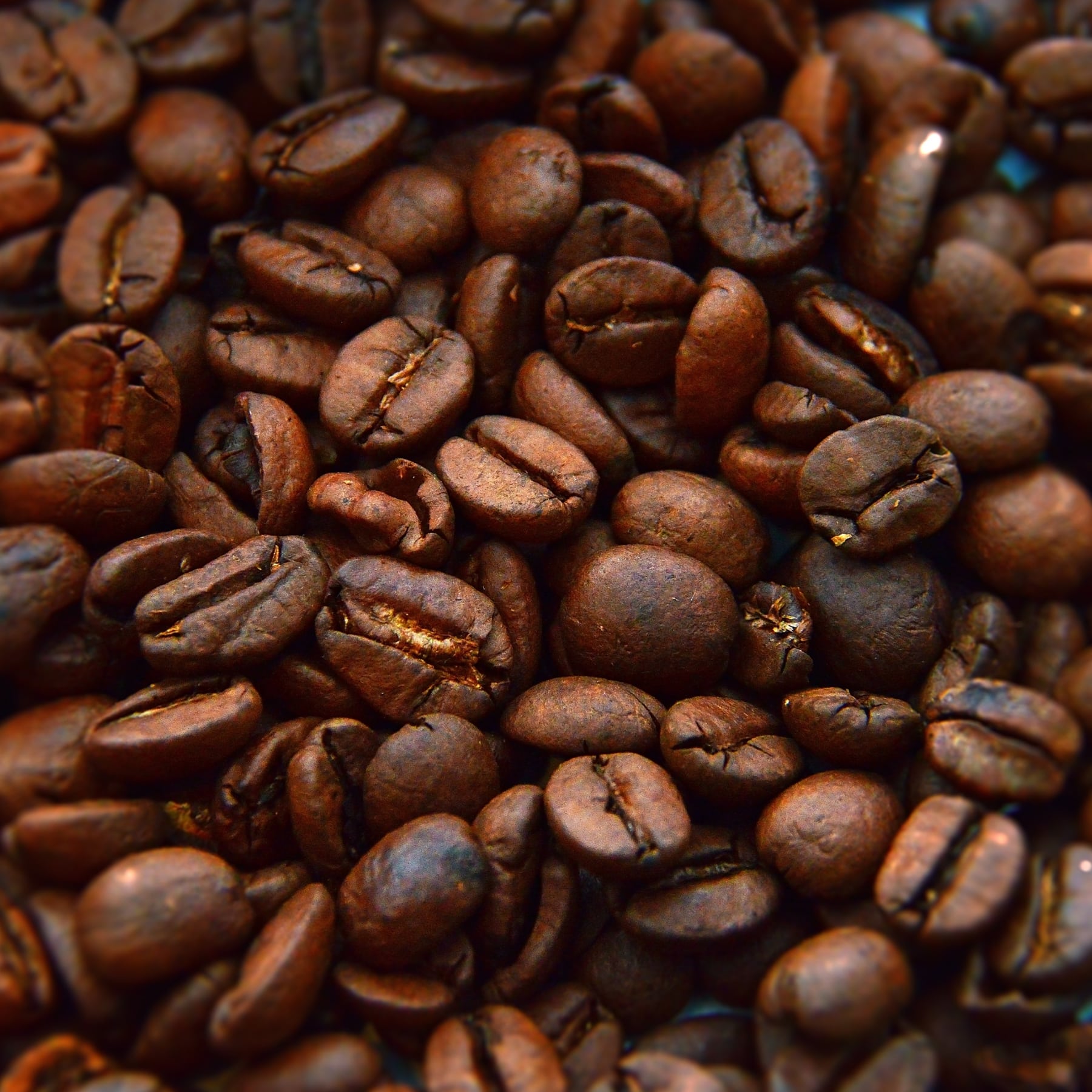 新品未開封 エヴィドンス ドゥボーテ ラ クレーム コー アブソリュ 149g EviDenS de Beauté（EviDenS de Beauté） エヴィドンスドゥ