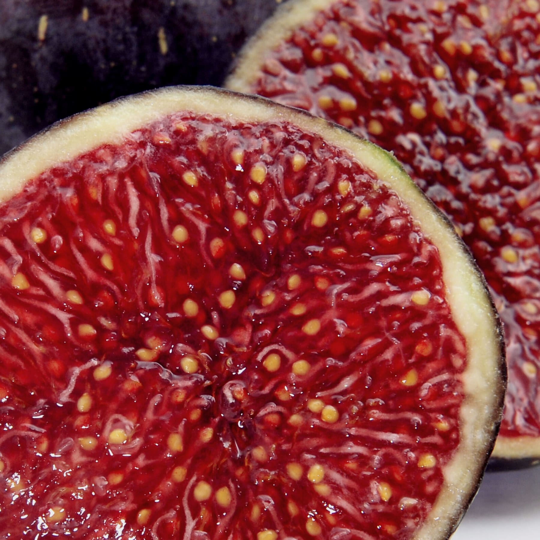 ル ジェル ピーリング ポーヌーヴ | EviDenS de Beauté