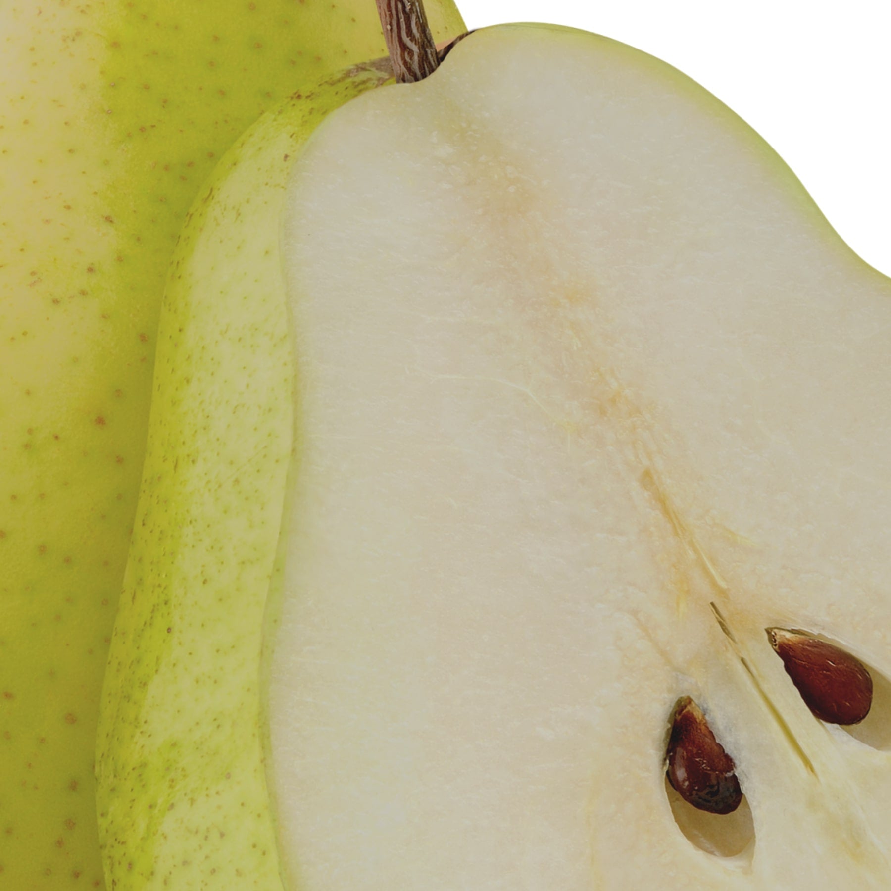 ル ジェル ピーリング ポーヌーヴ | EviDenS de Beauté