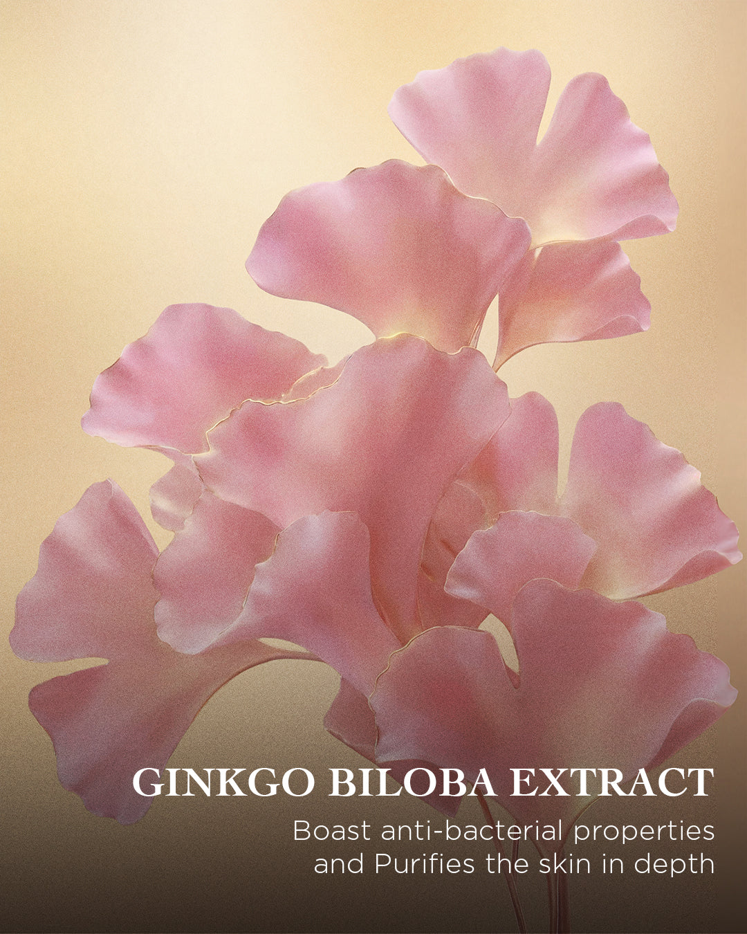 The Sakura Cleansing Foam | EviDenS de Beauté