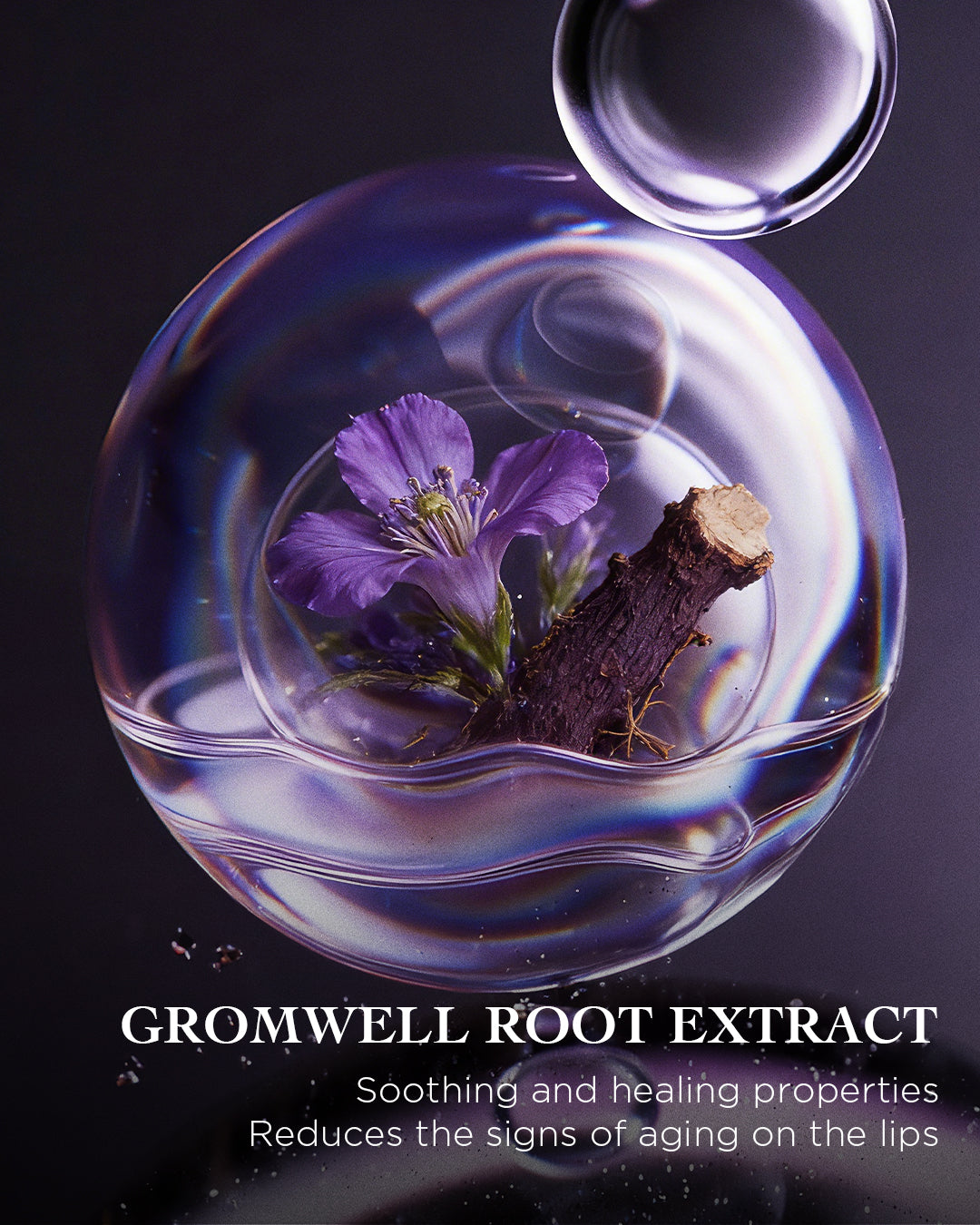 The Nourishing Lip Treatment | EviDenS de Beauté