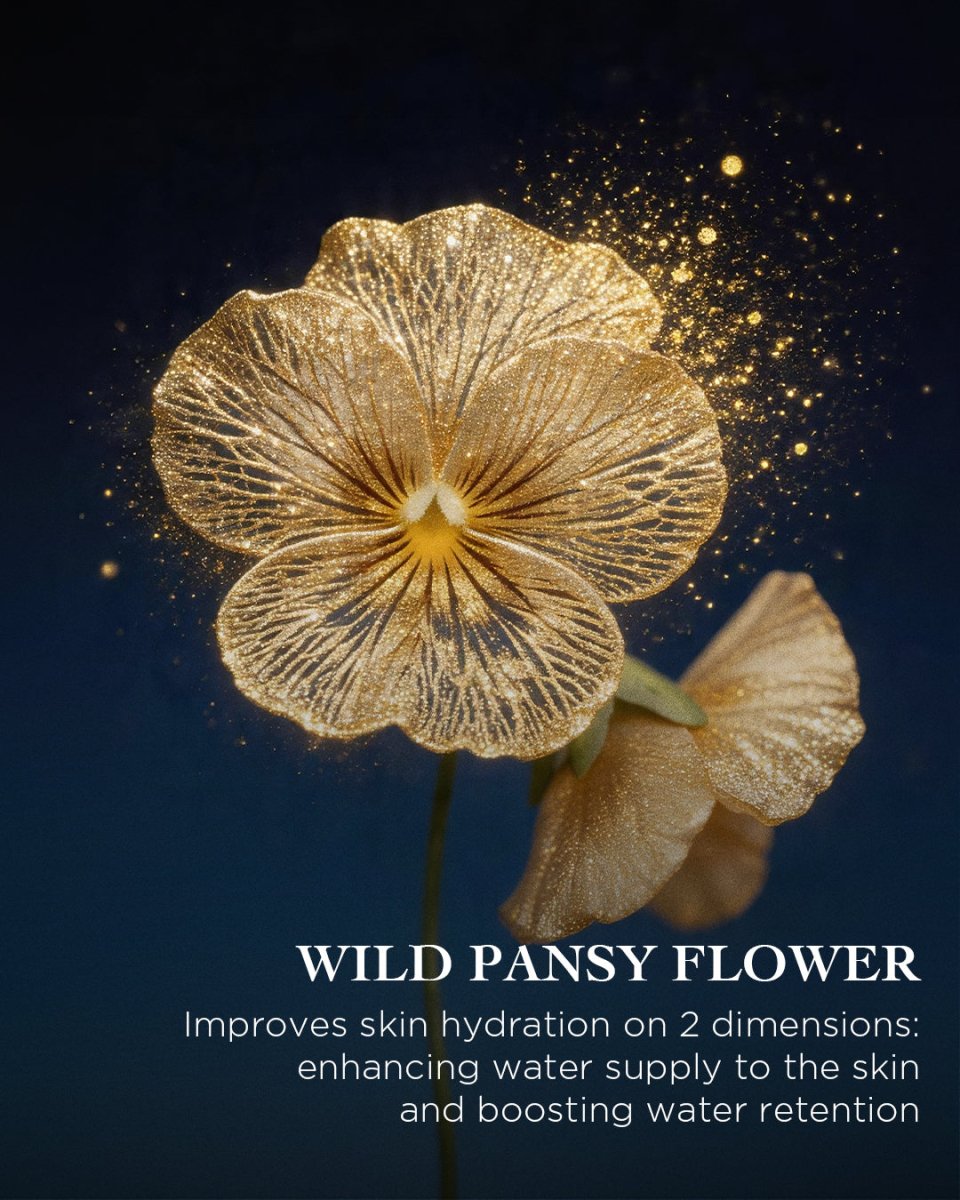 La Foux Essence-in-Mist | EviDenS de Beauté