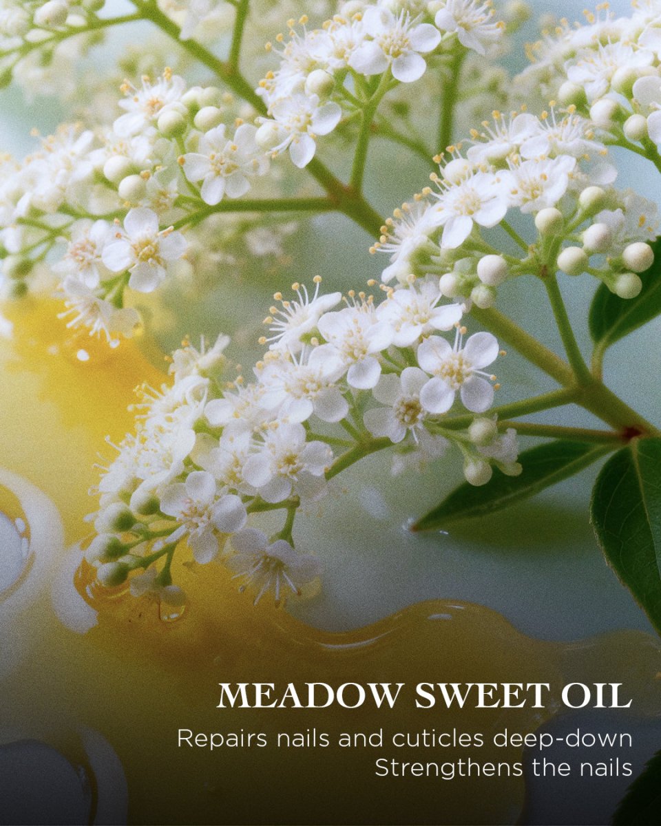 ル ソワン エクラ レジェネラン マン＆オングル | EviDenS de Beauté