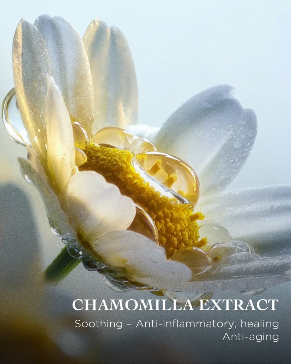 The Brightening Lotion | EviDenS de Beauté