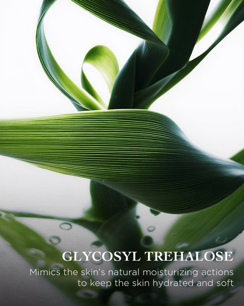 The Brightening Lotion | EviDenS de Beauté