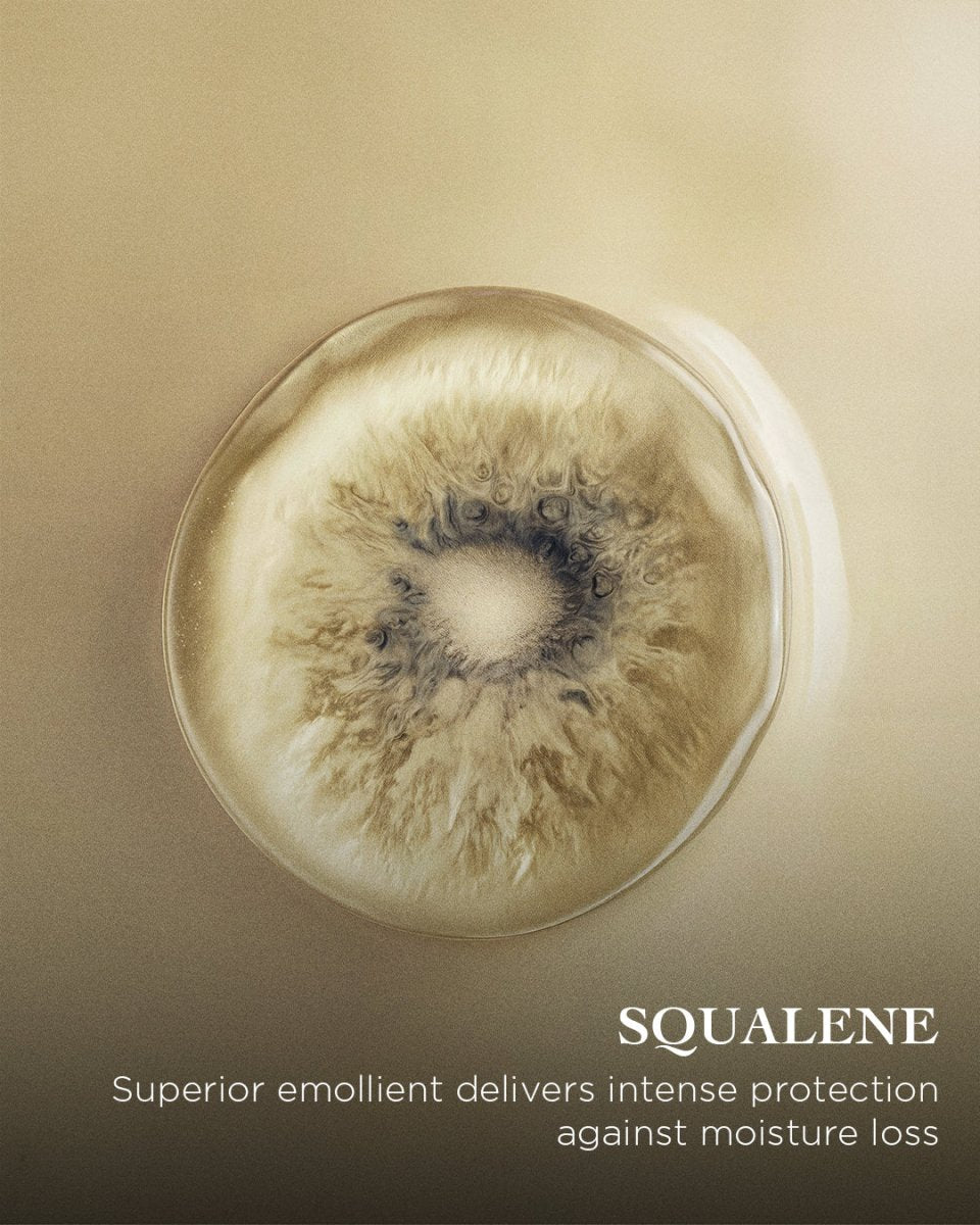 The Day Moisturizer | EviDenS de Beauté