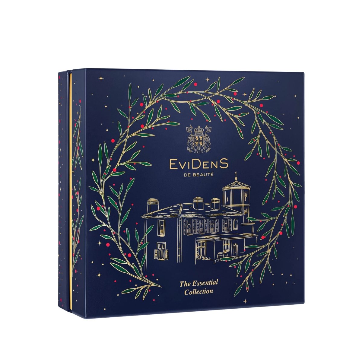 EviDenS スキンケアセット 4点 EviDenS スキンケアセット 4点