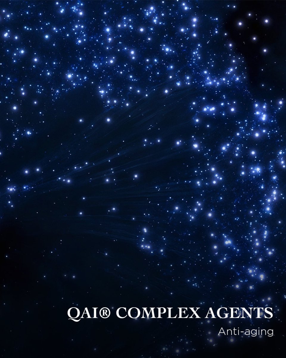 The Night Moisturizer | EviDenS de Beauté