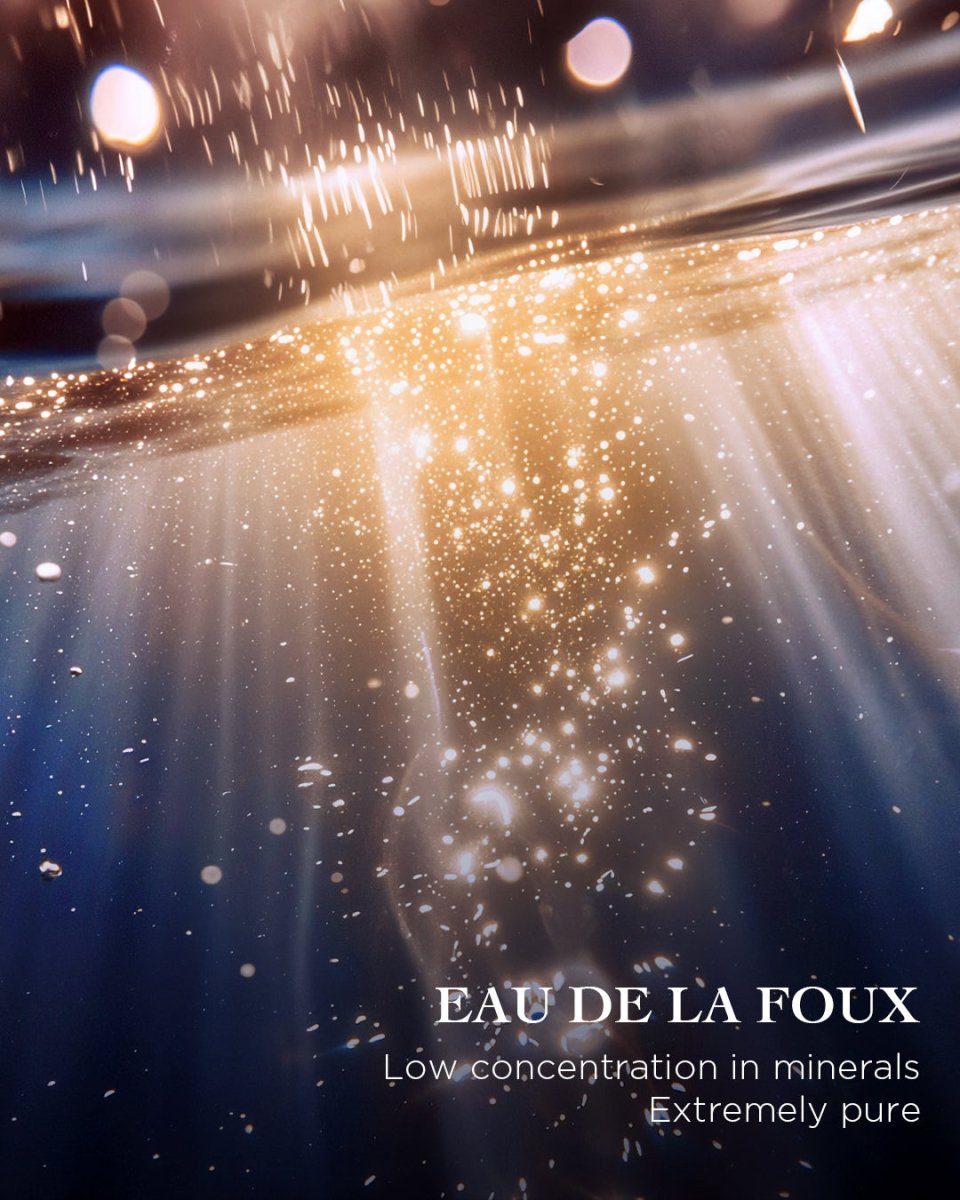 The Night Moisturizer - EviDenS de Beauté