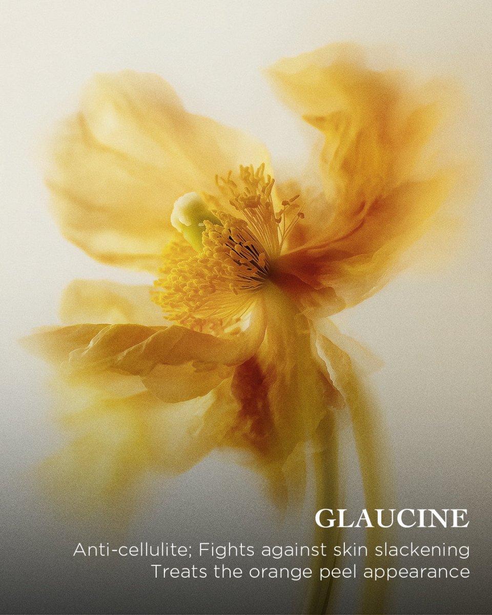 The Perfect Body Cream Slimming & Firming | EviDenS de Beauté