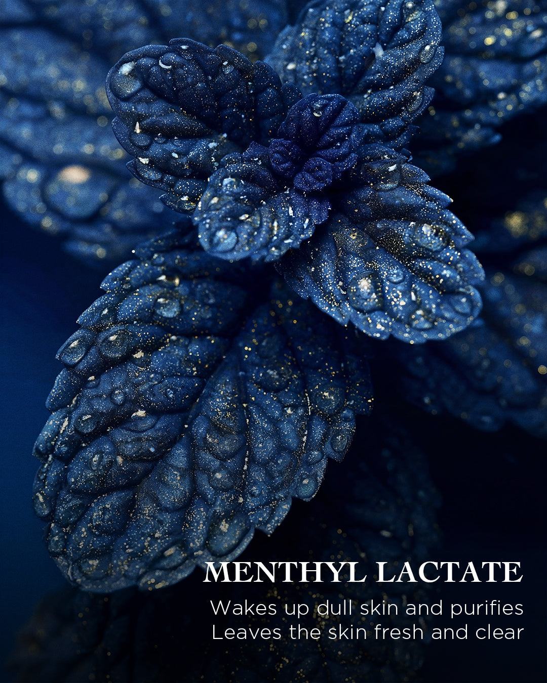 The Special Eye Treatment | EviDenS de Beauté