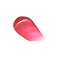 The Nourishing Lip Treatment (Tinted) | EviDenS de Beauté